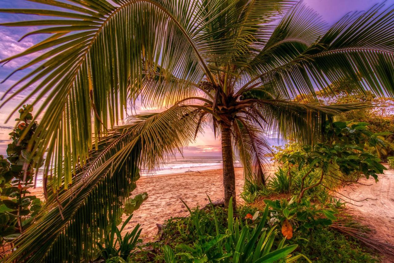 Oasis Bluff Beach Bocas del Toro Exterior photo
