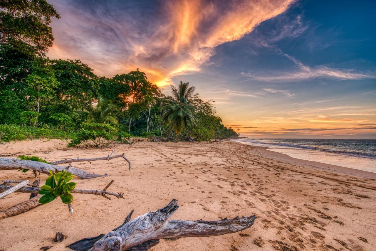 Oasis Bluff Beach Bocas del Toro Exterior photo