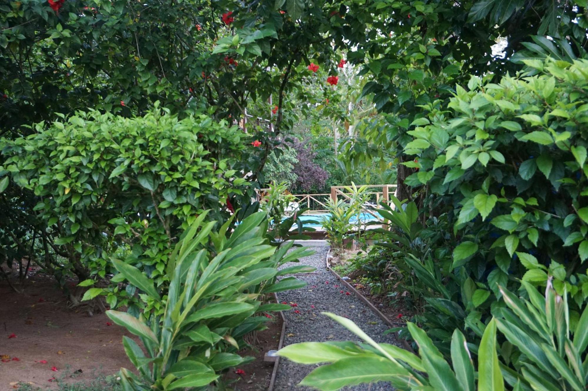 Oasis Bluff Beach Bocas del Toro Exterior photo