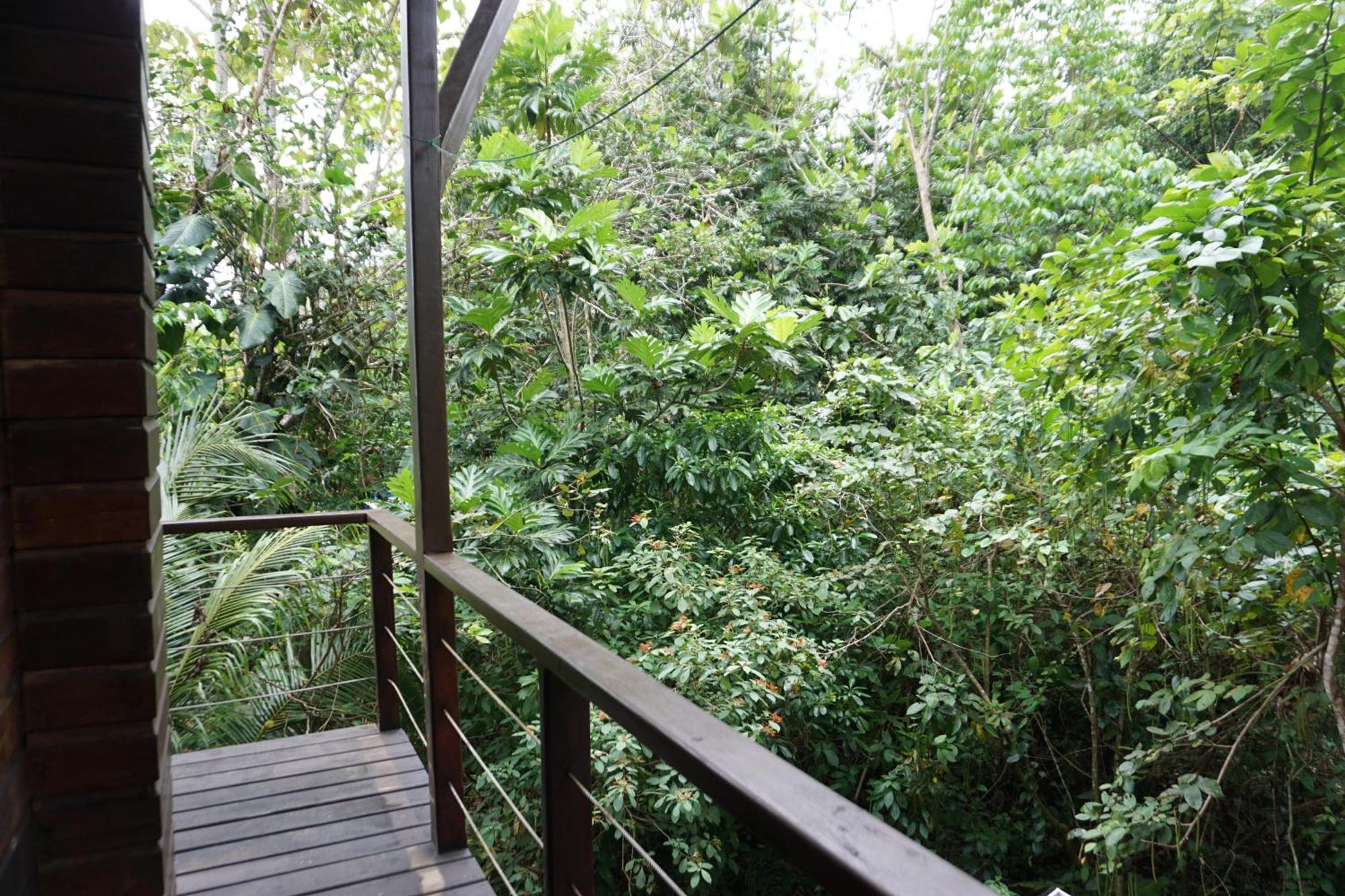 Oasis Bluff Beach Bocas del Toro Exterior photo